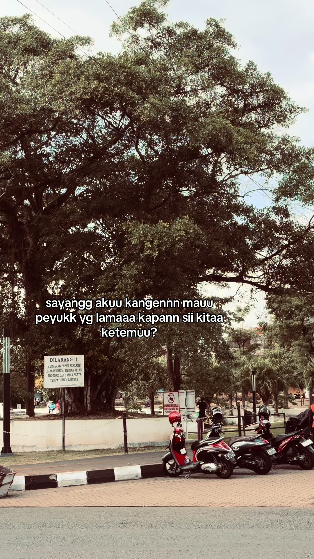 @ㅤ