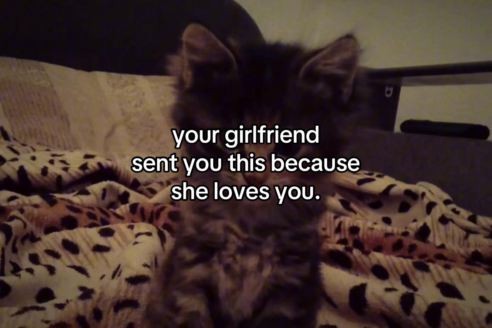 @sxalenz