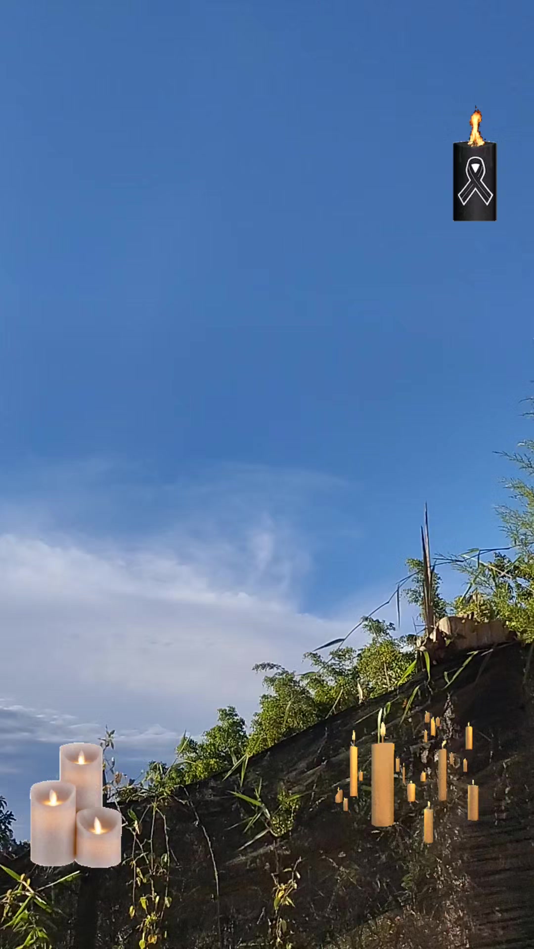 @ALEJA 🤸🍃🌻❤️🌻