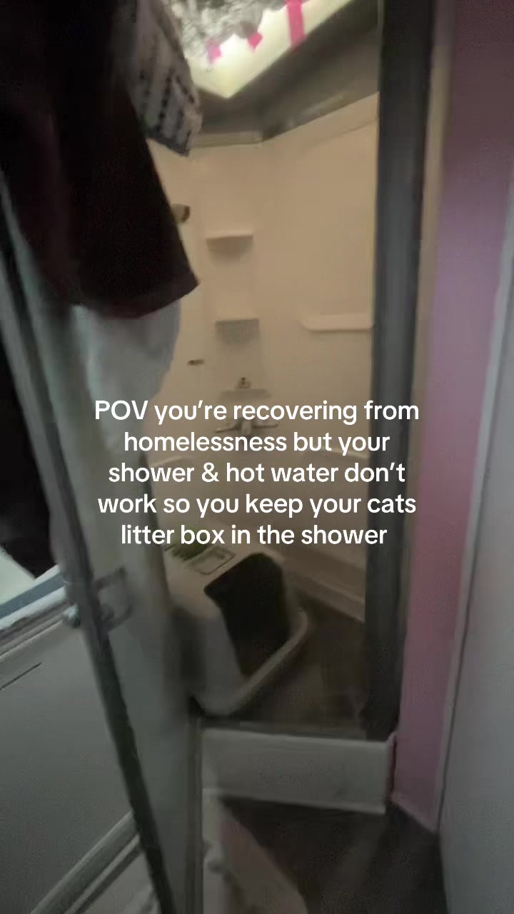 @chicken the white cat