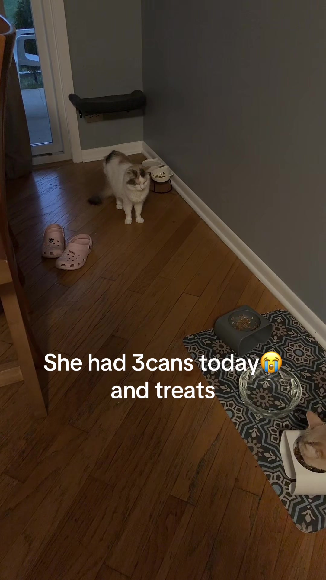 @Jessicas_pov