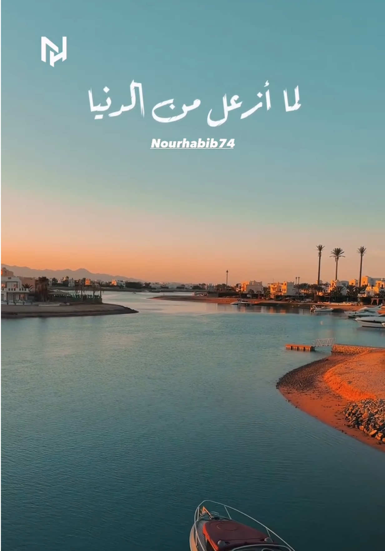 @NourHabib74