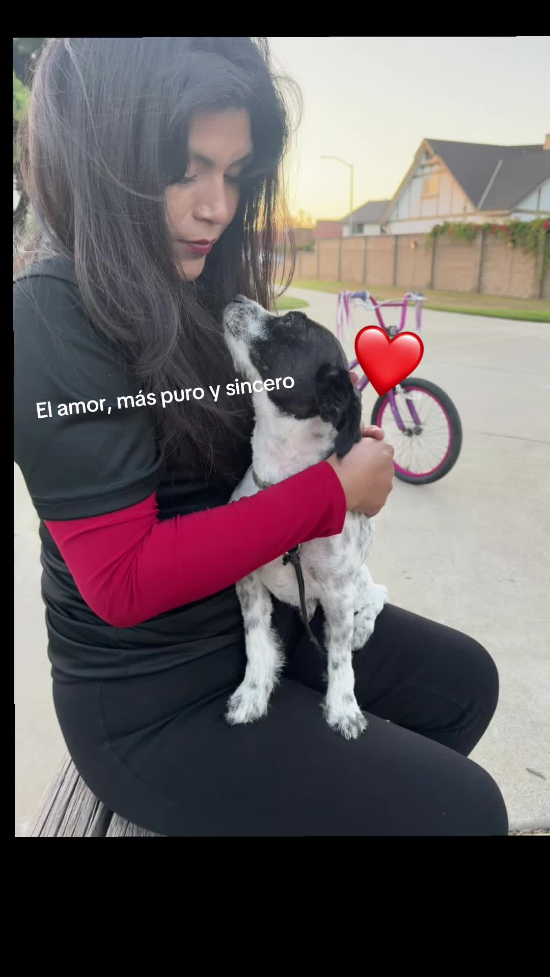 @luz Altamirano