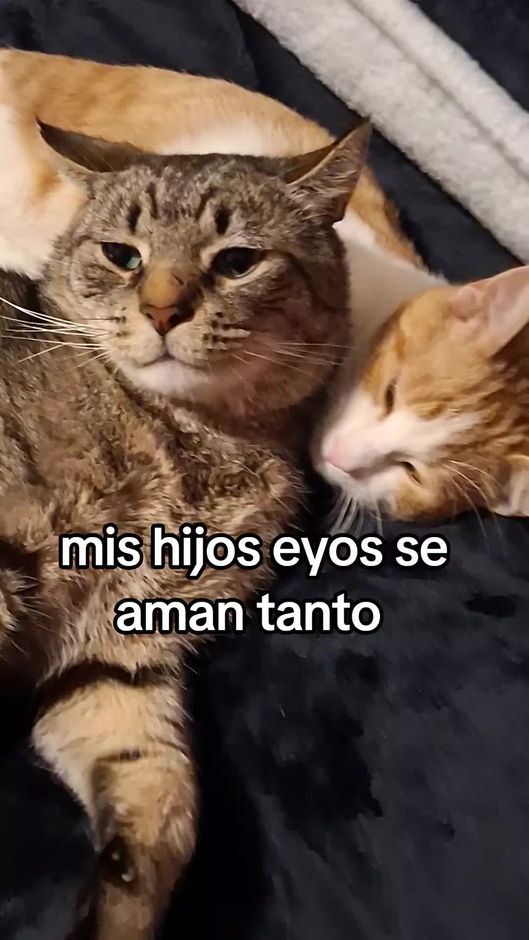 @Mamagatera20