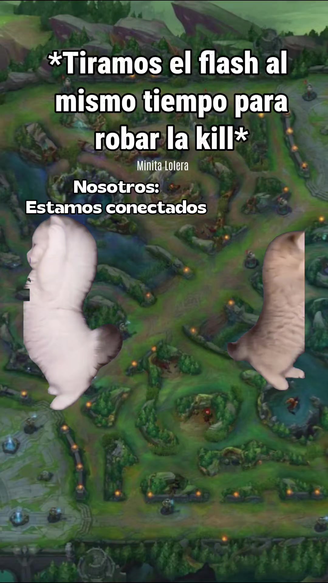 @Minita lolera