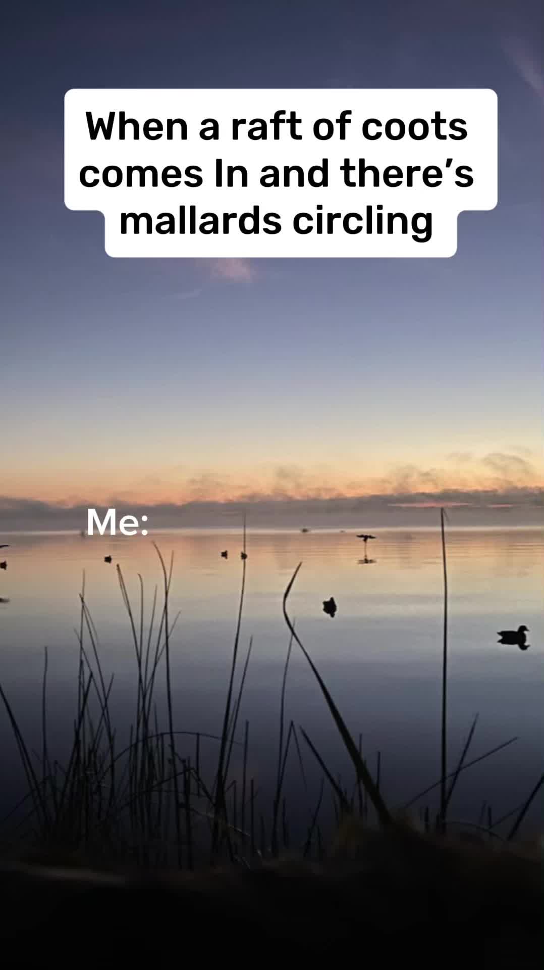 @INO_OUTLAW