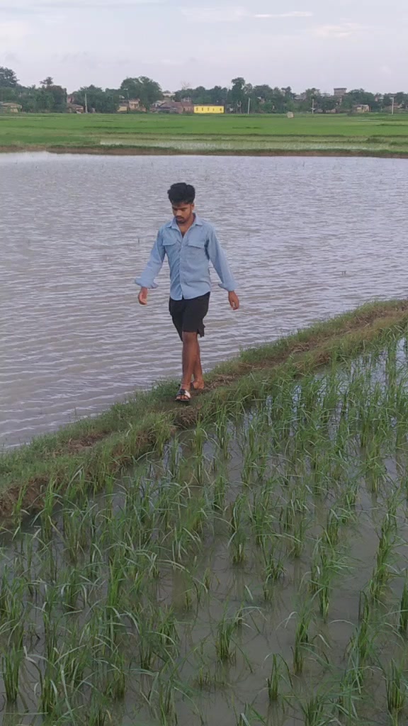 @Roshankushawaha..