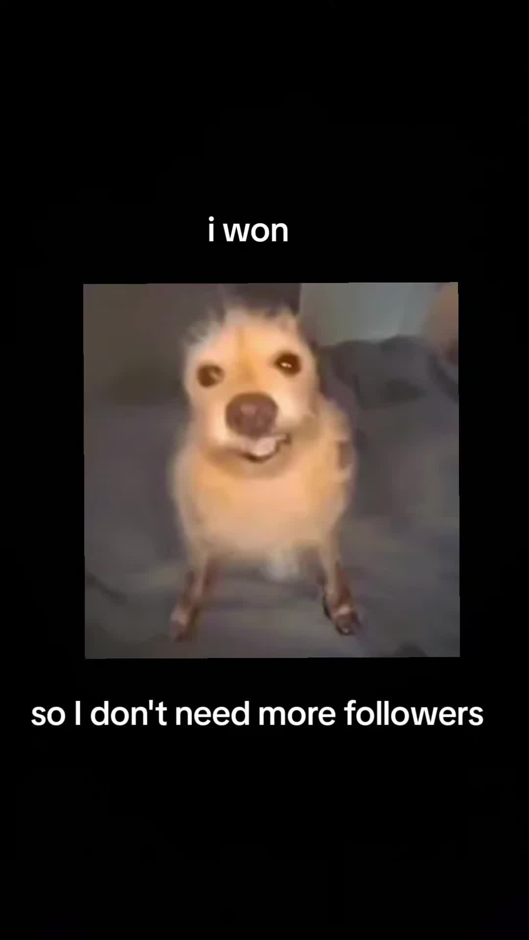 @( . _ .)