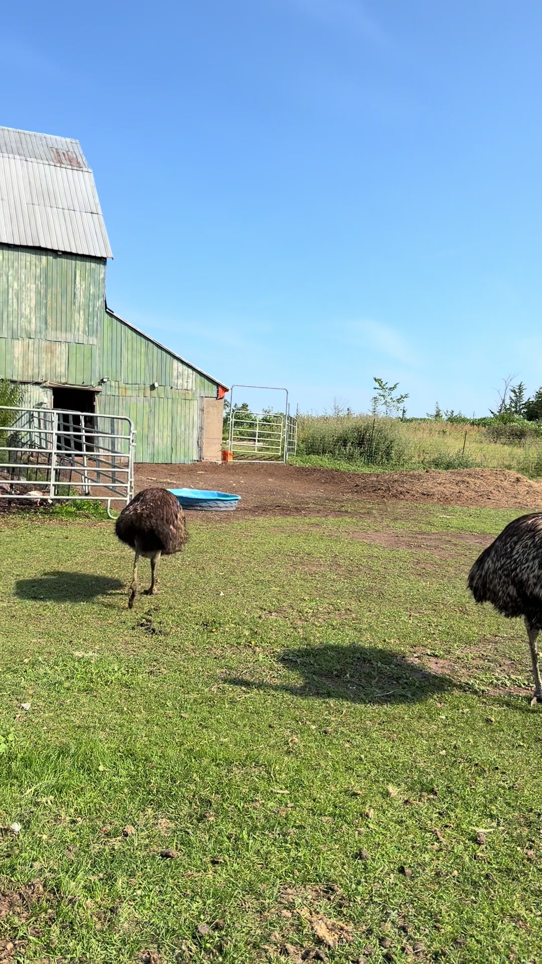 @Useless Farm