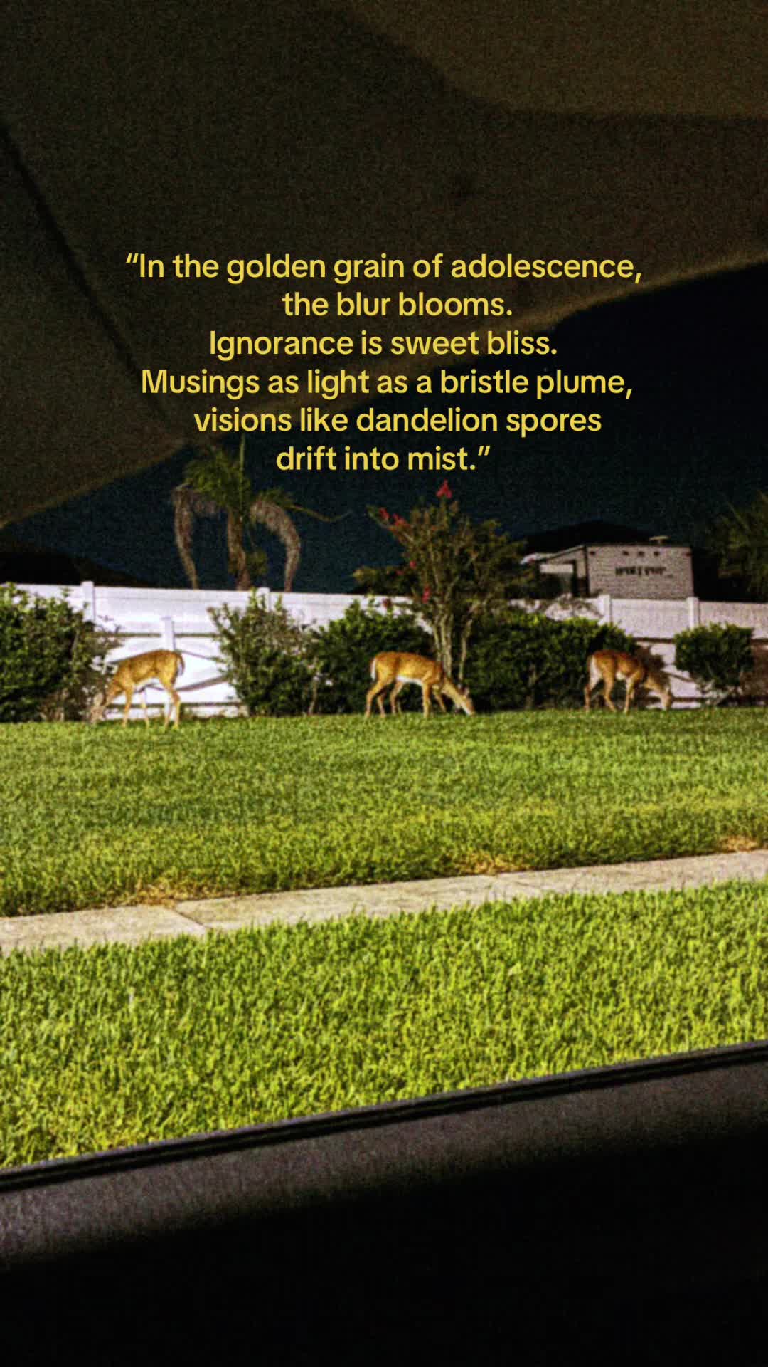 @⚘