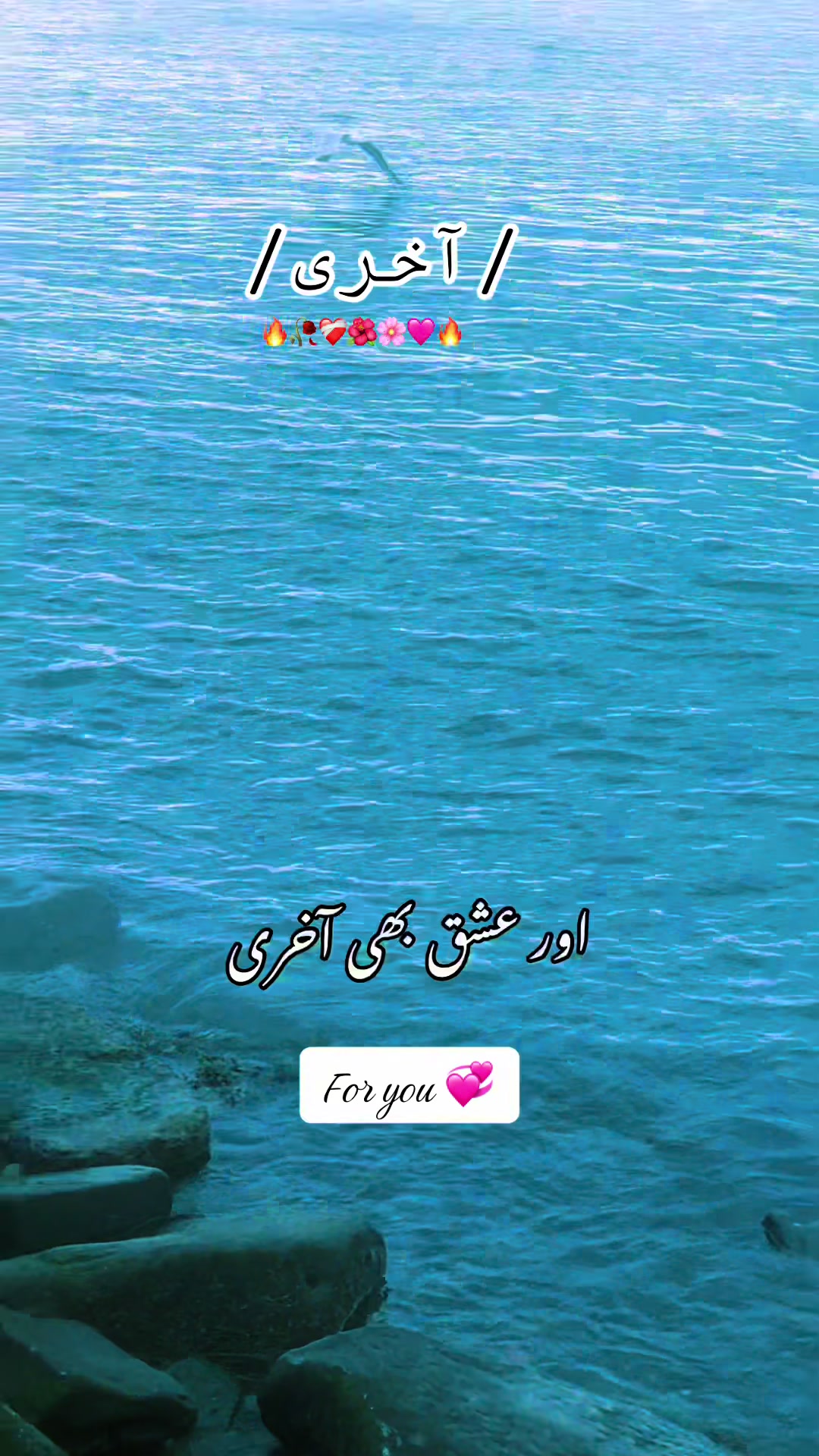 @Kashmiri meerab 🩷