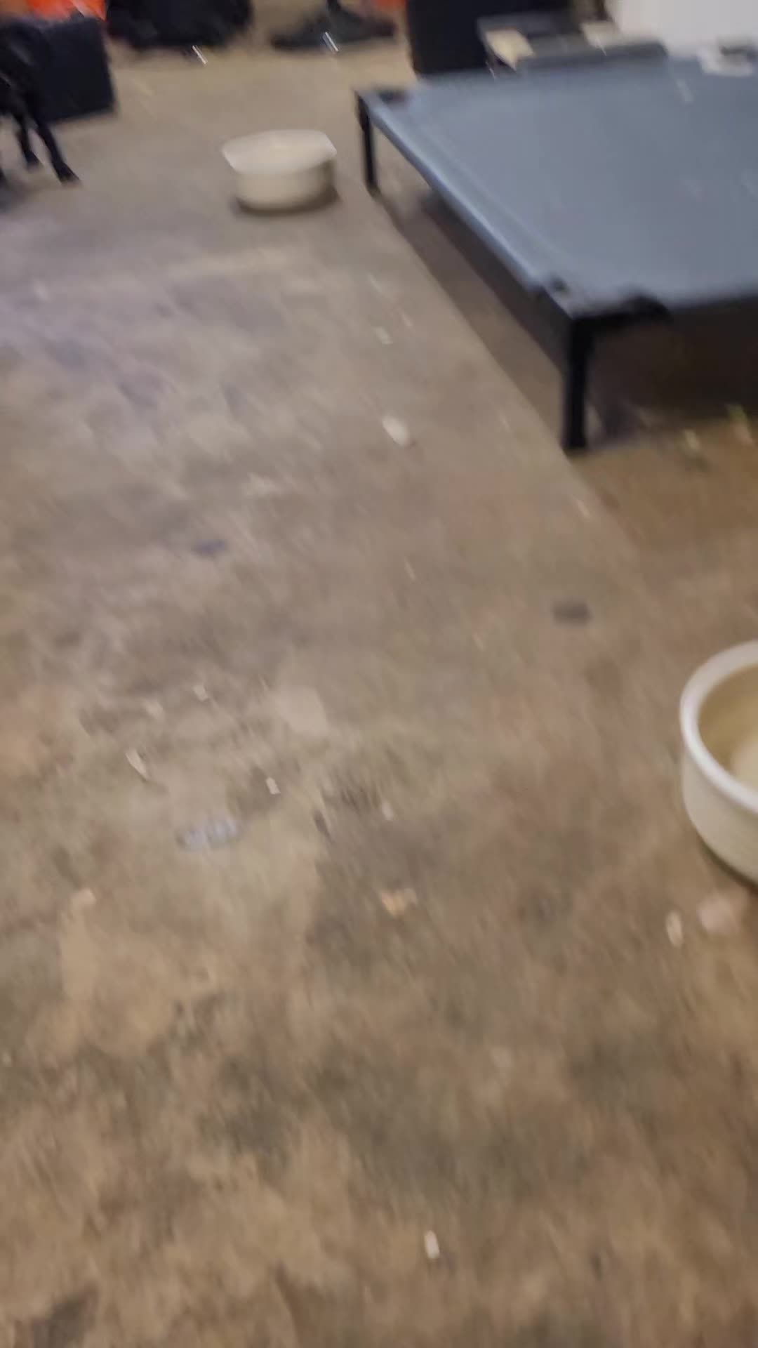 @corybj1990