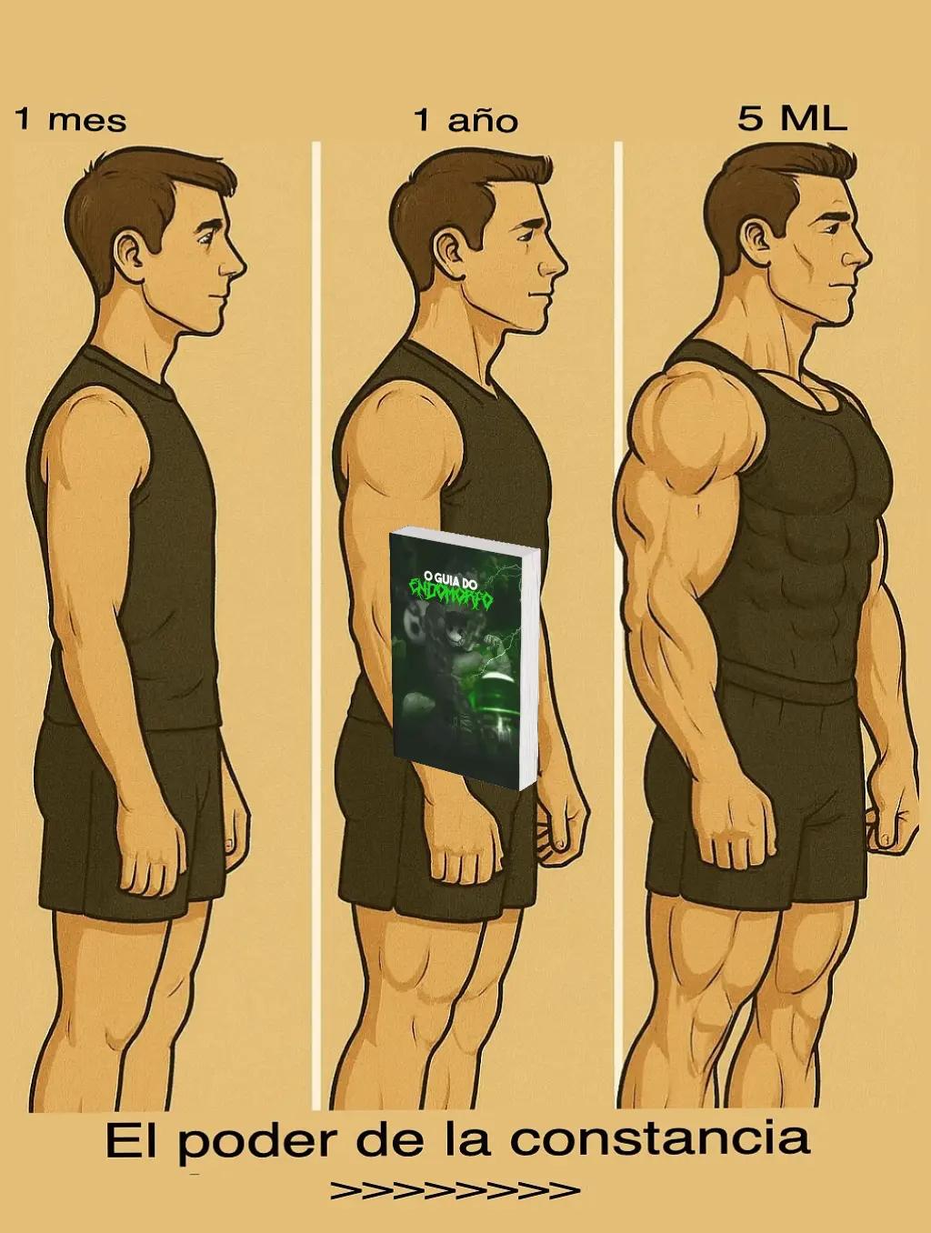 @Semeatotip de cuerpo