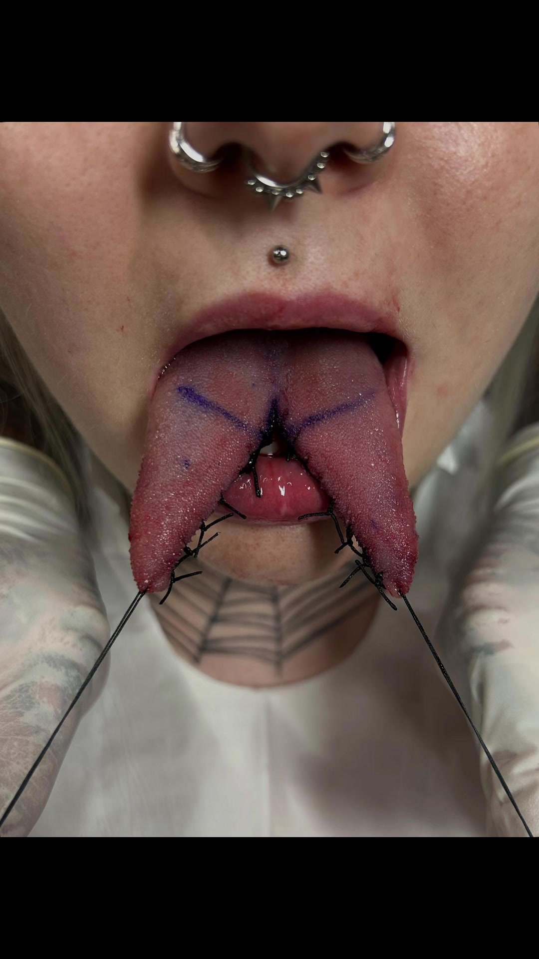 @Dana_Marie_Dracula
