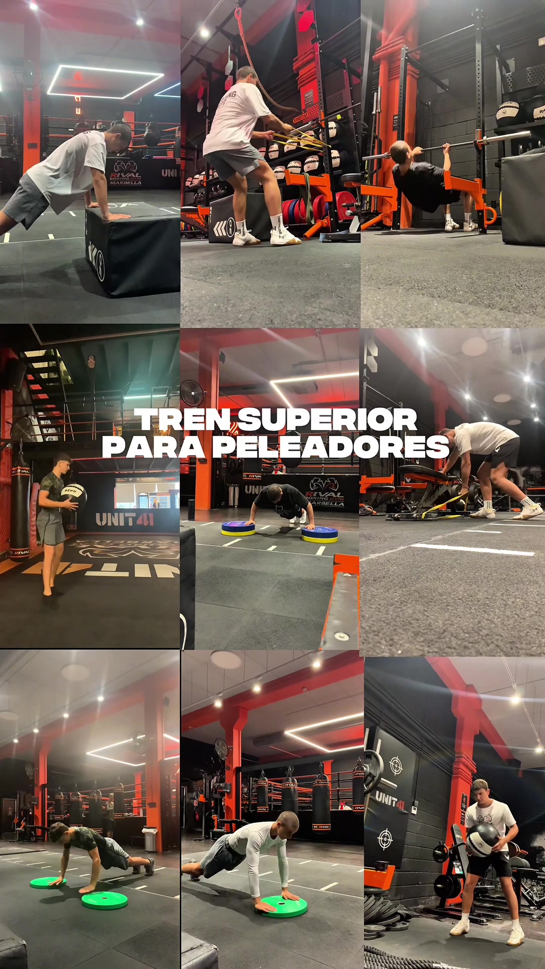 @luisarce.performancecoach