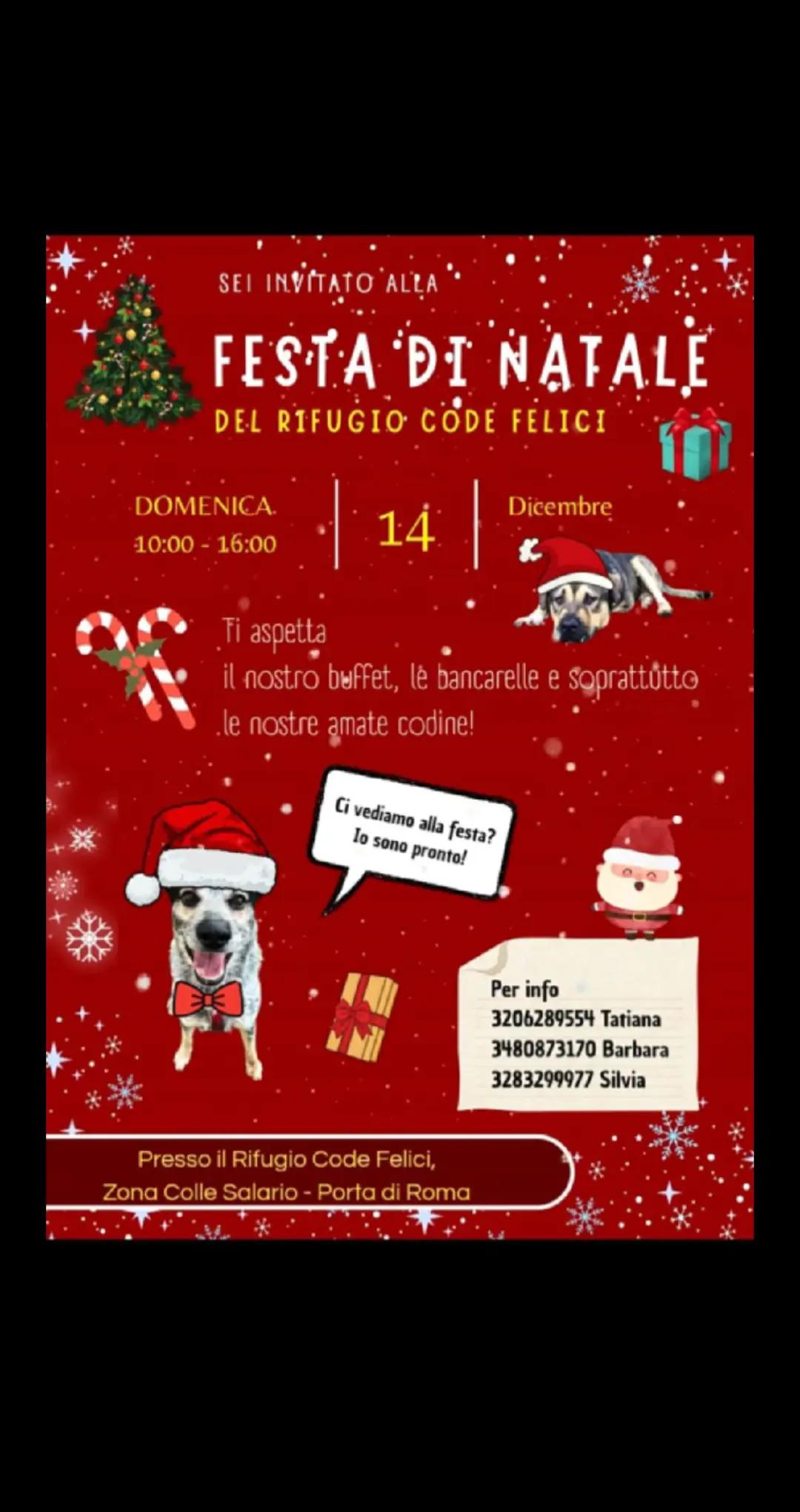 @code felici