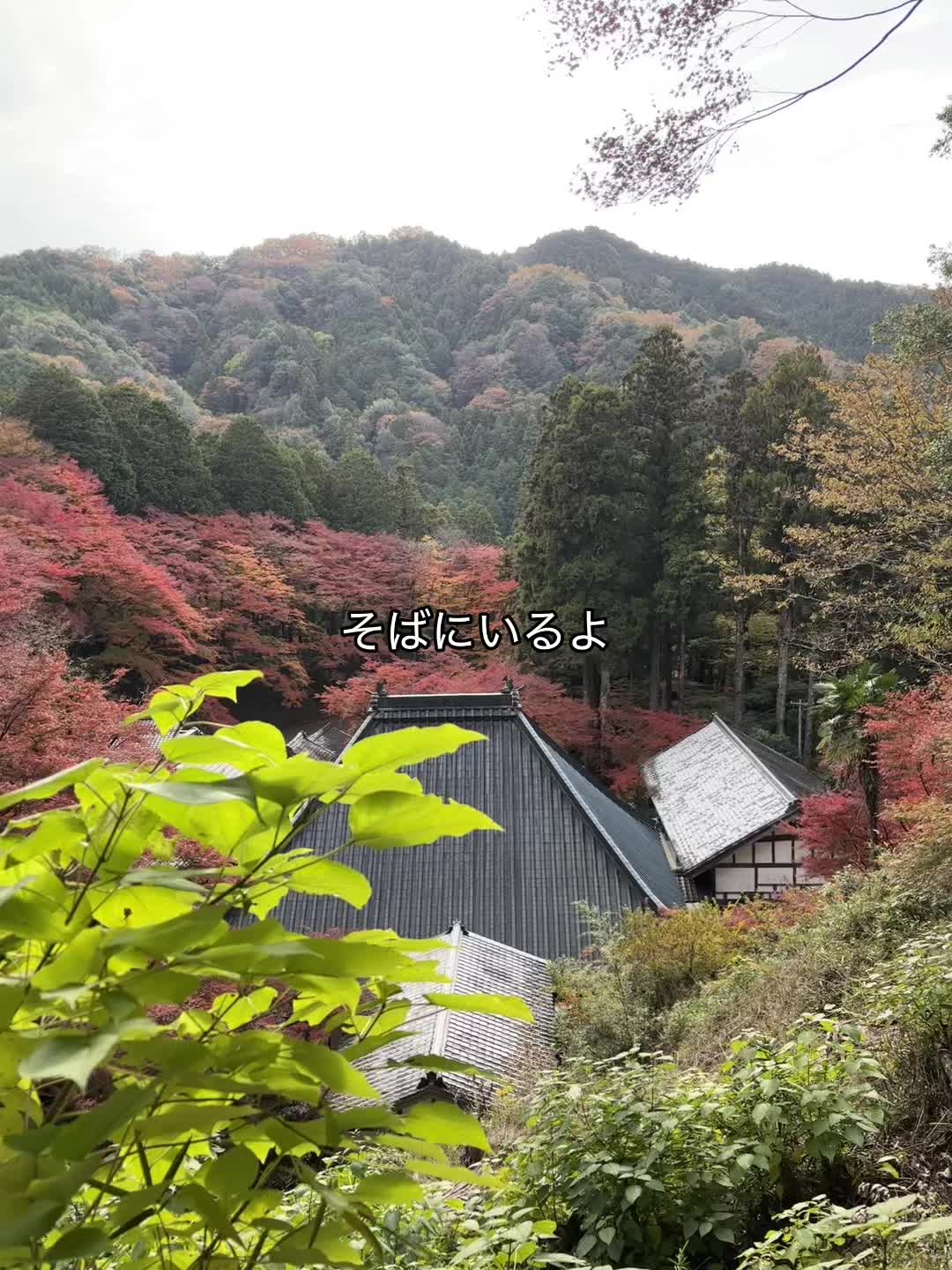 @zeitaro