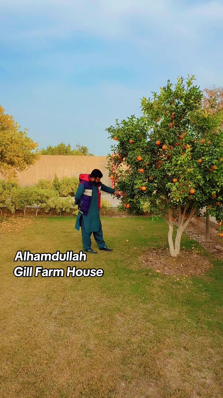 @Waqas Gill
