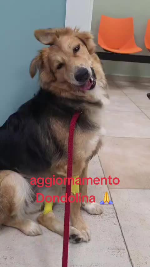 @Maria Rosaria Natill