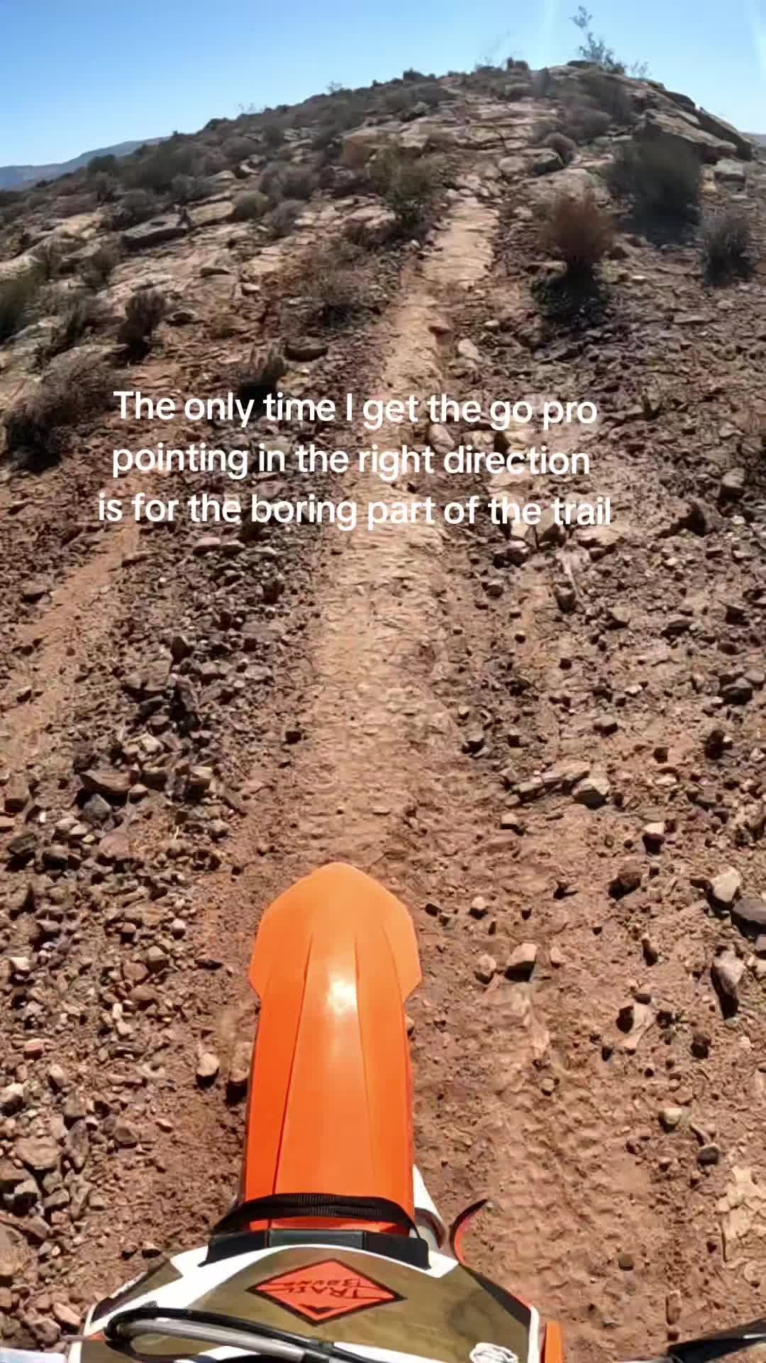 @jaimeebringard