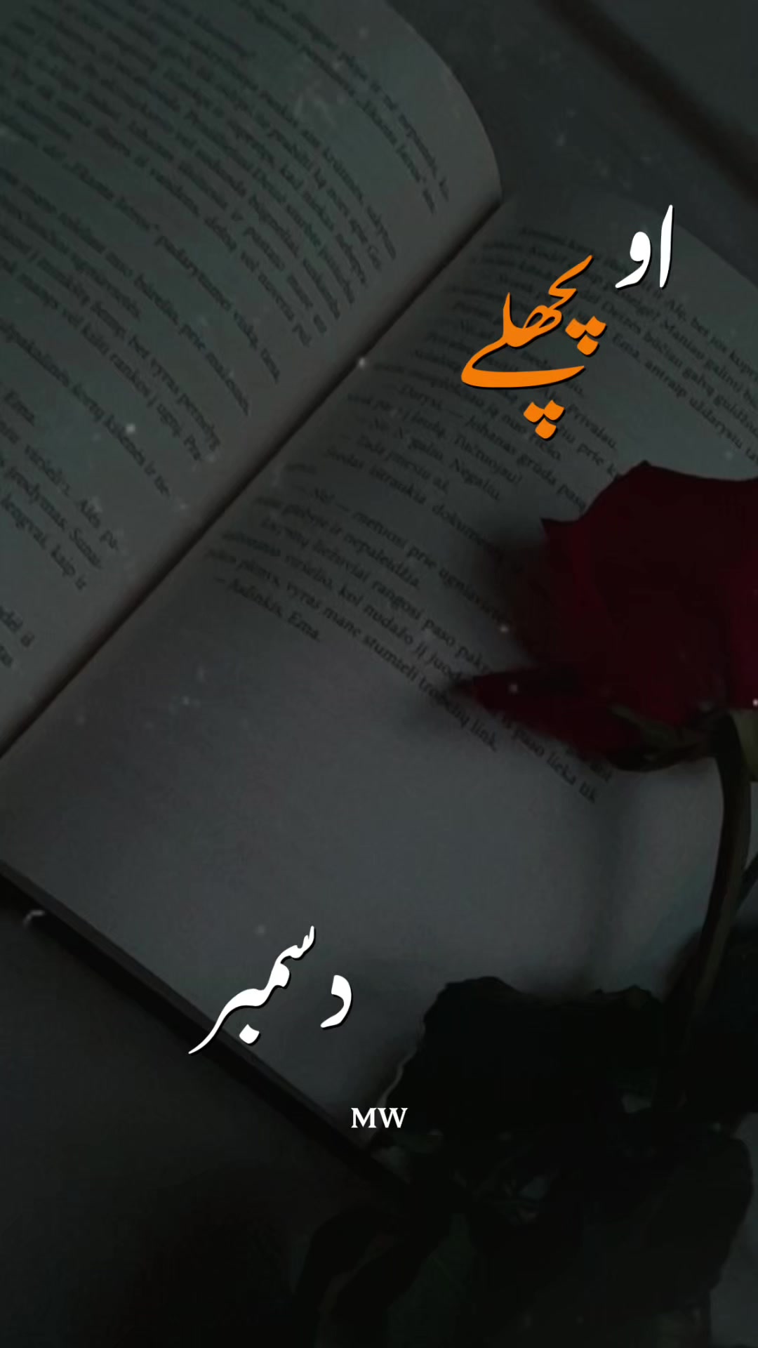 @⚜️ MuteenWrites ⚜️