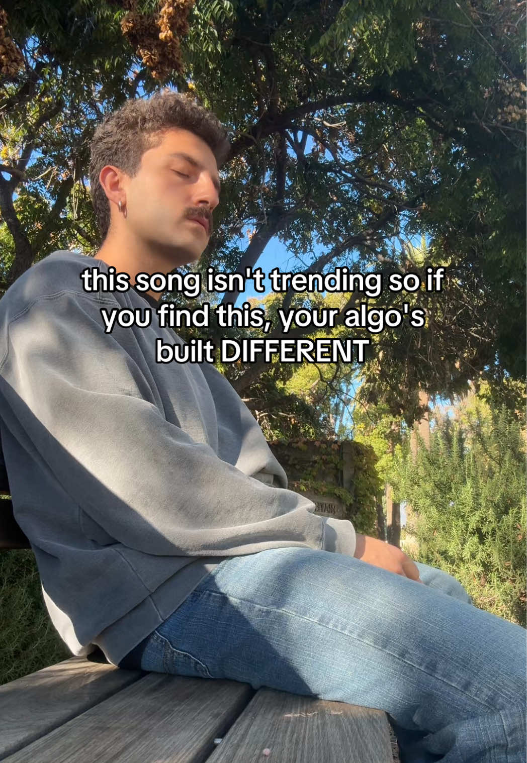 @MAYOR