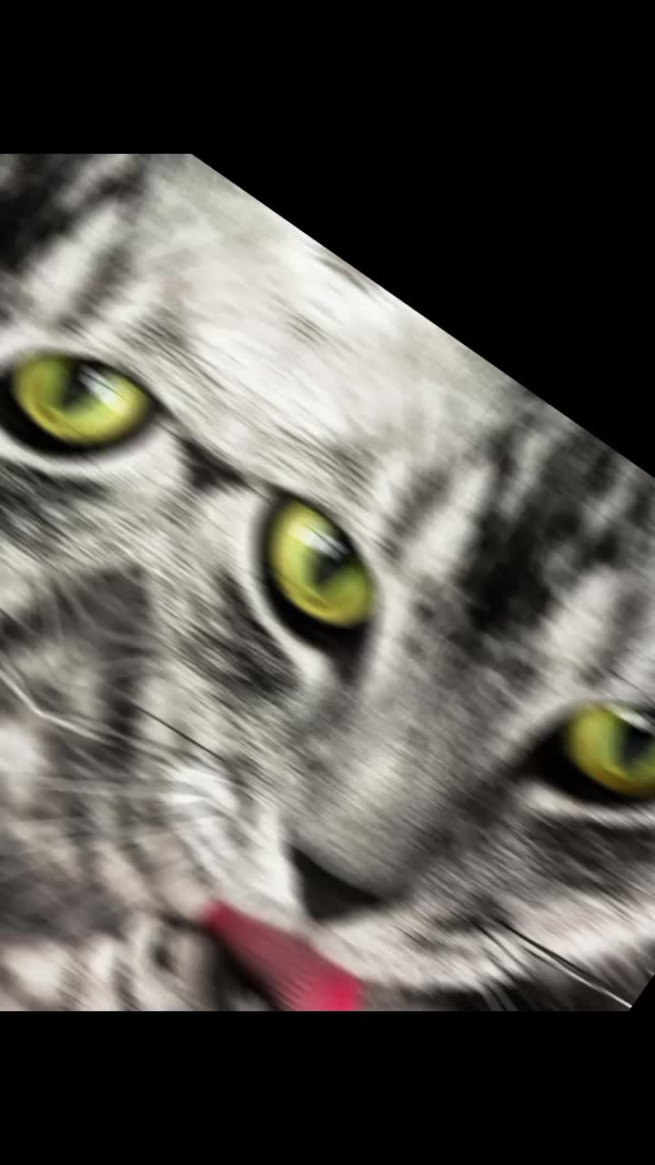 @cutecatlover8172