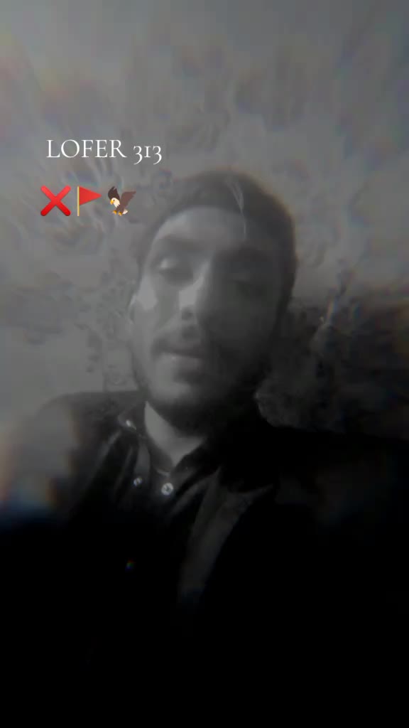 @LOFER 313