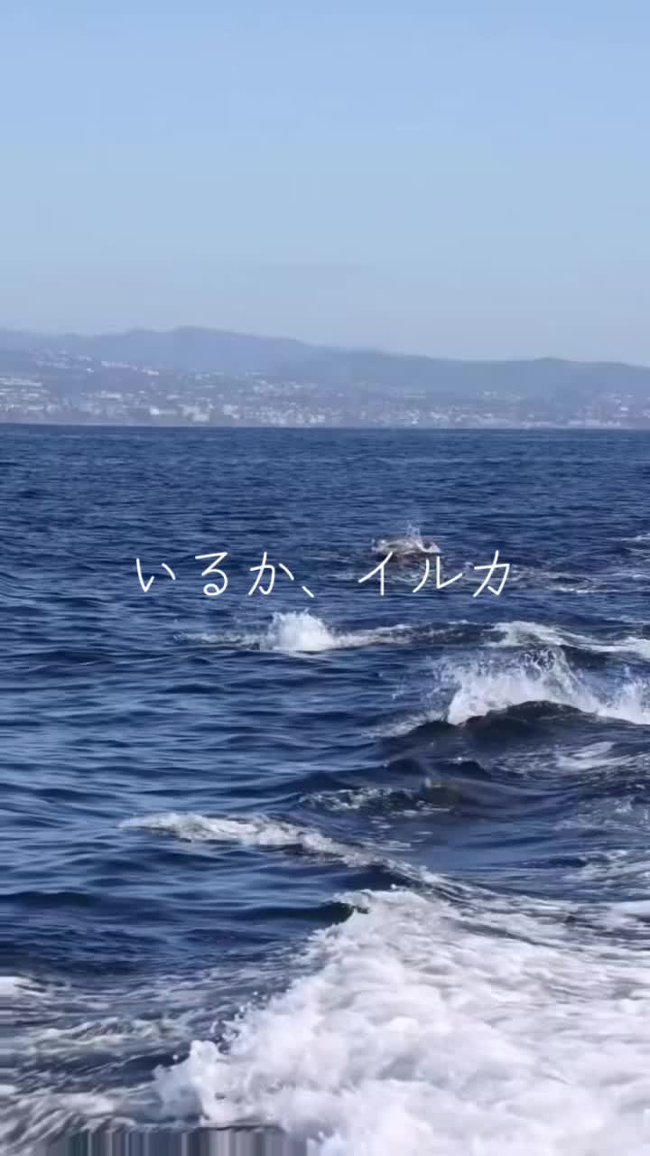 @神田明神🐒さるとびjournal