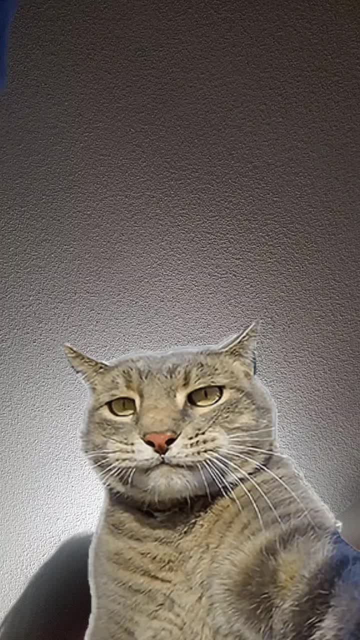 @No
