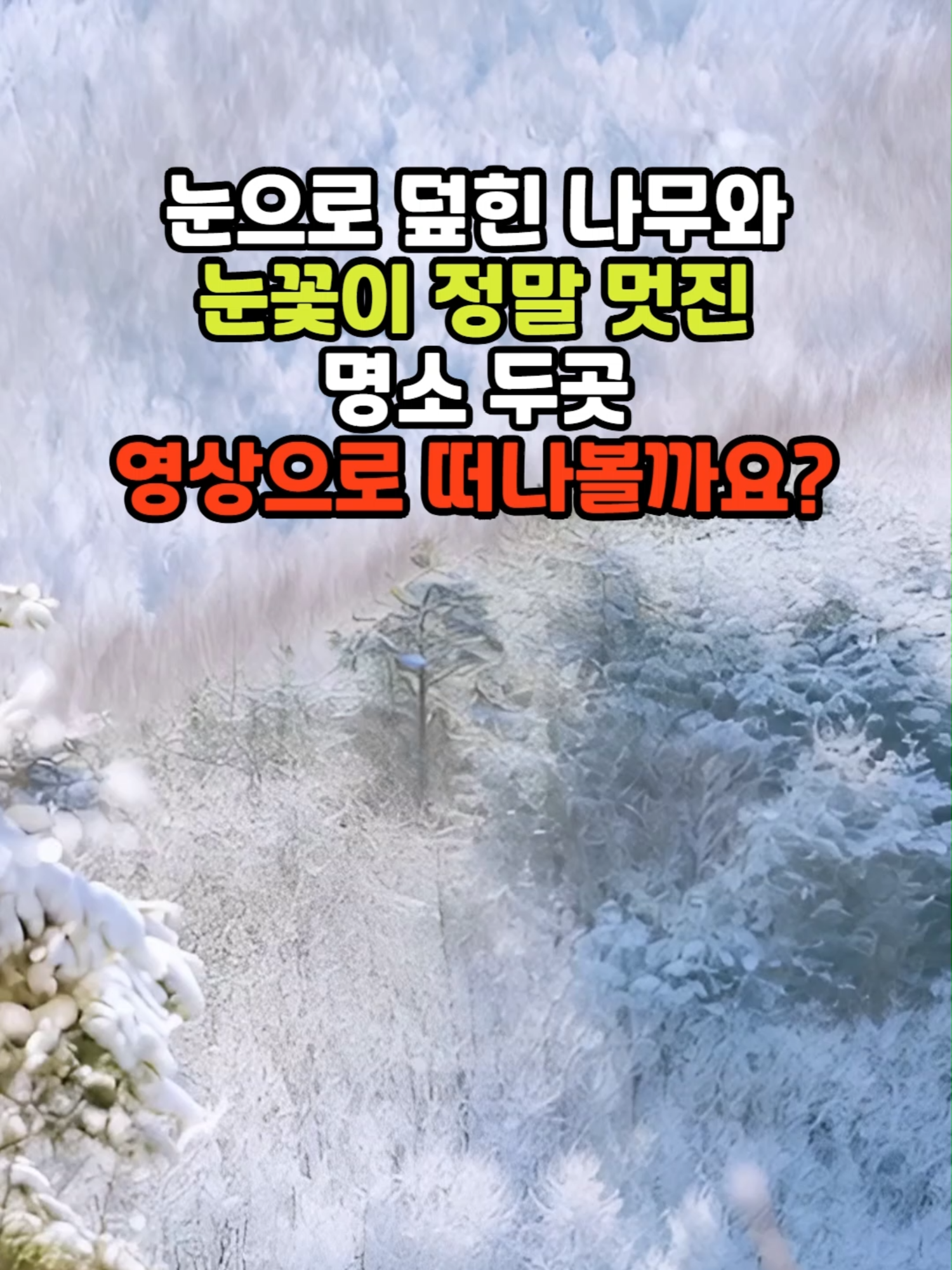@꽃노리