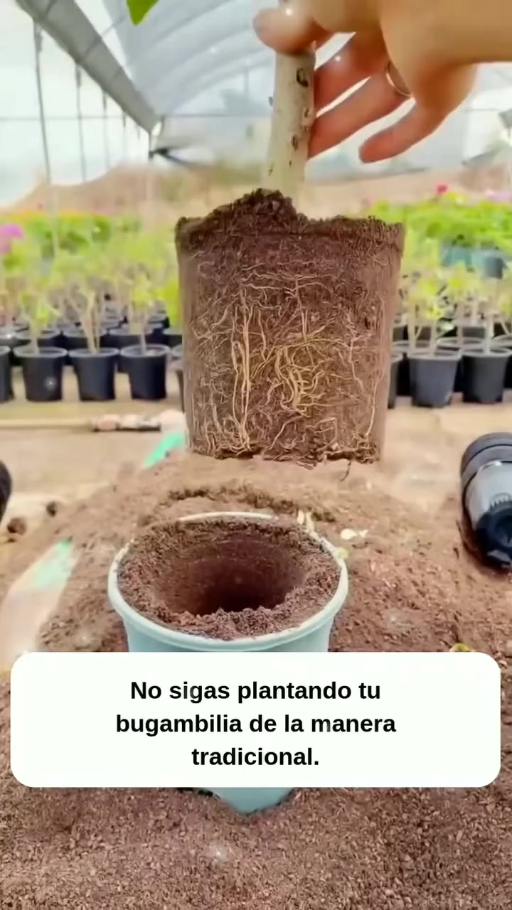 @MIJARDIN