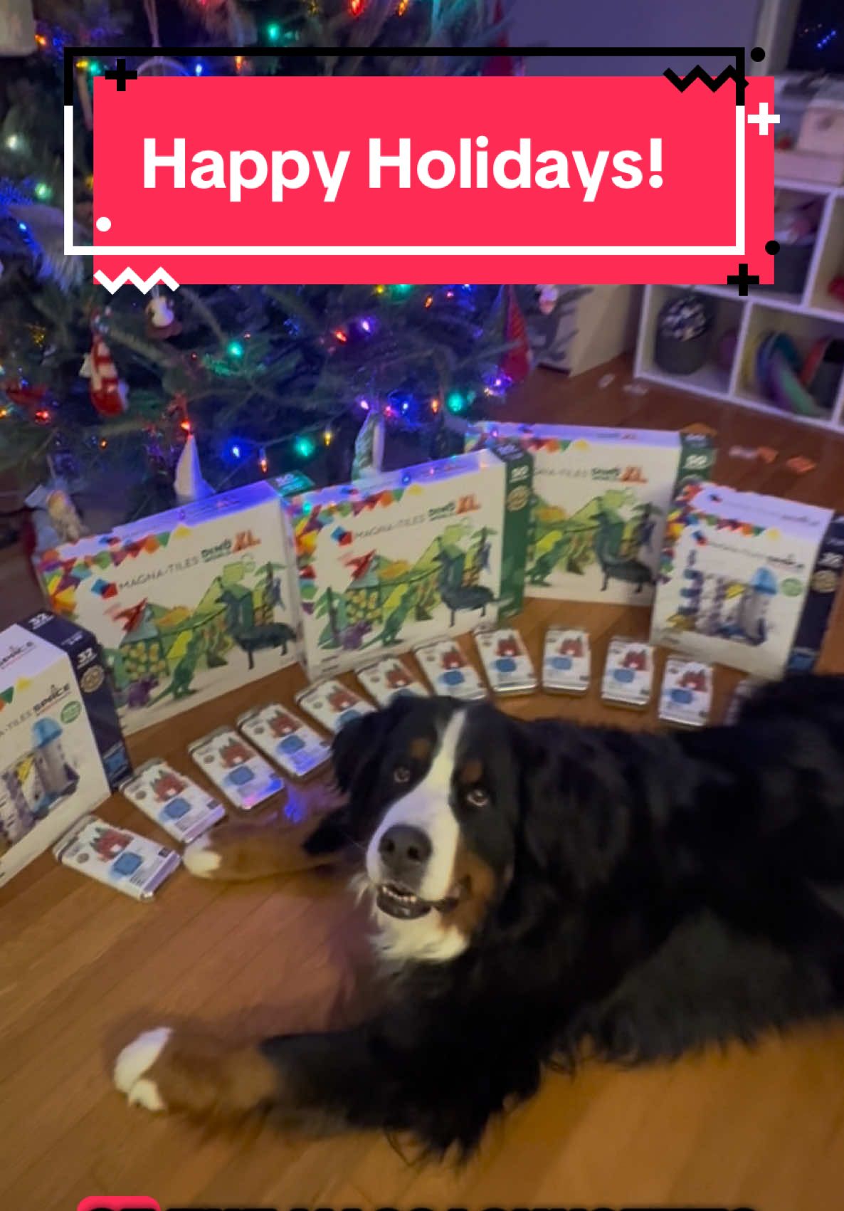 @Ivy the Berner