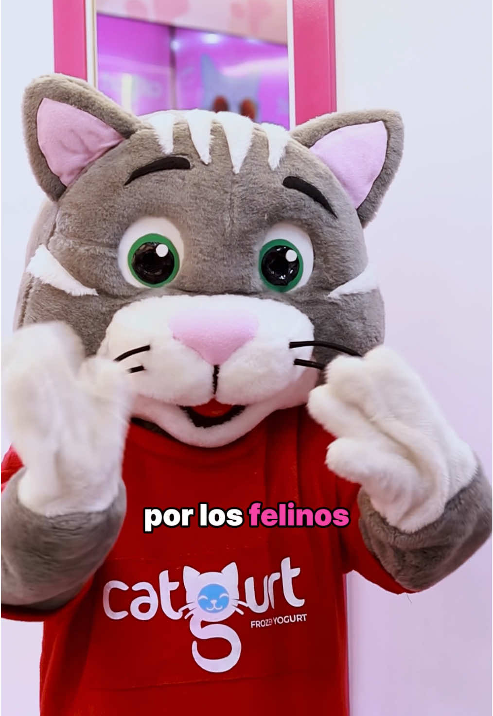 @Catgurt