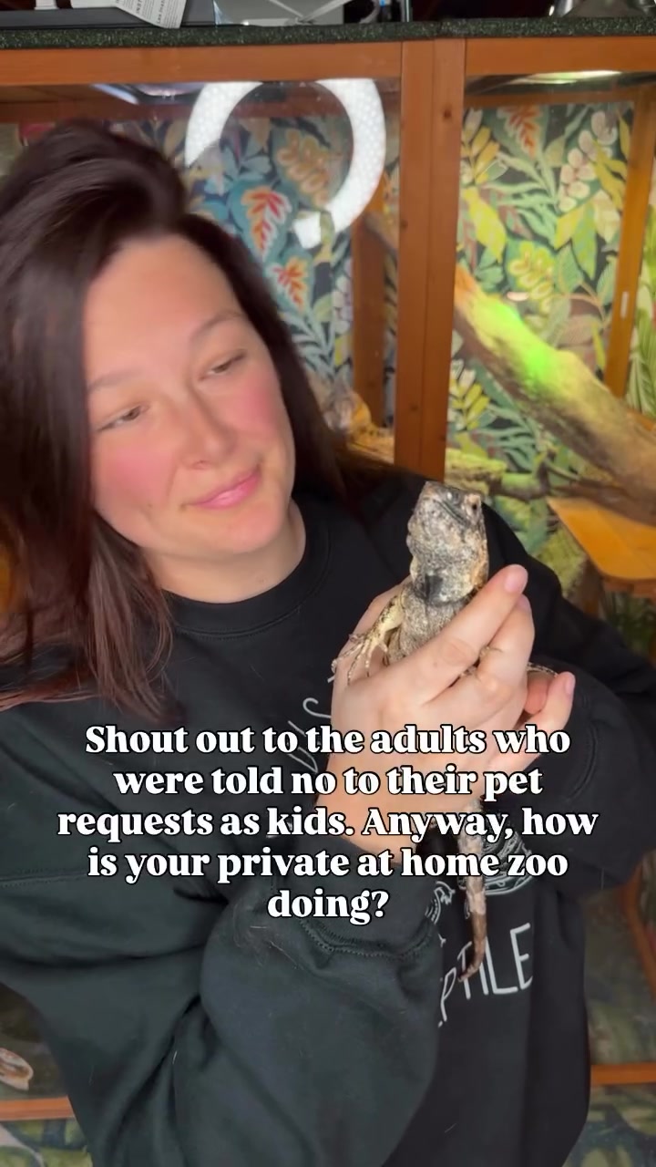 @ZA Reptiles