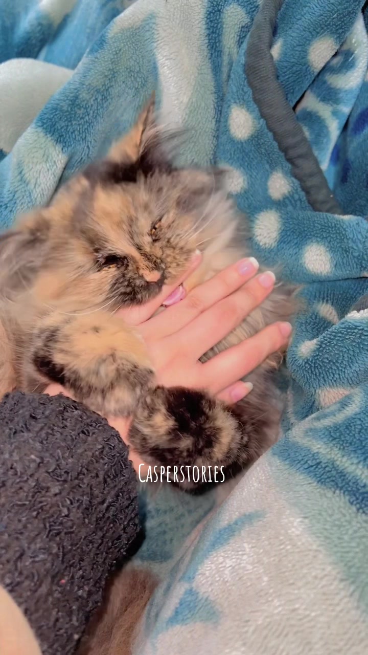@𝑪𝒂𝒔𝒑𝒆𝒓 & 𝑴𝒊𝒏𝒏𝒊𝒆 🐾