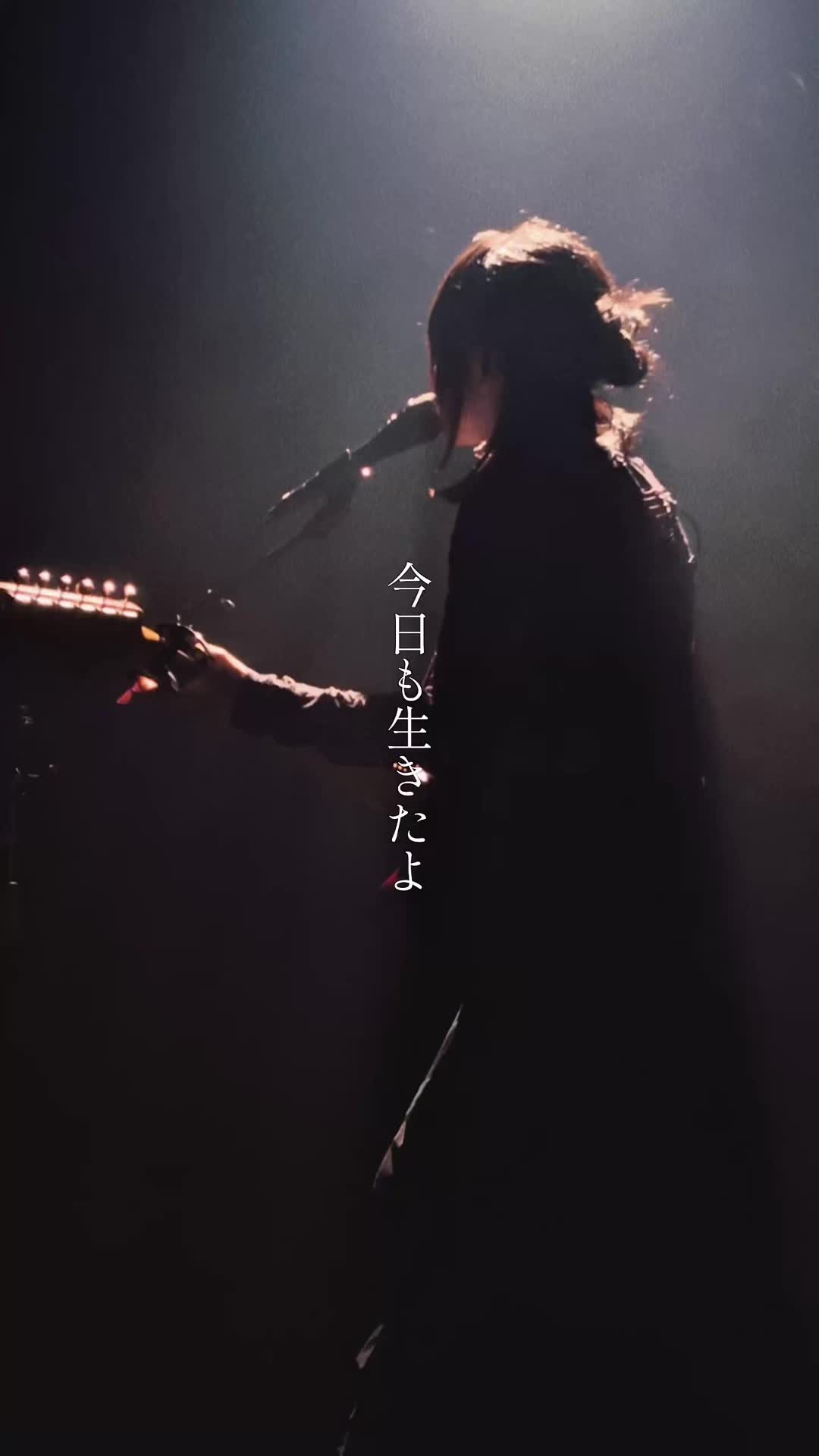 @hakubi_official