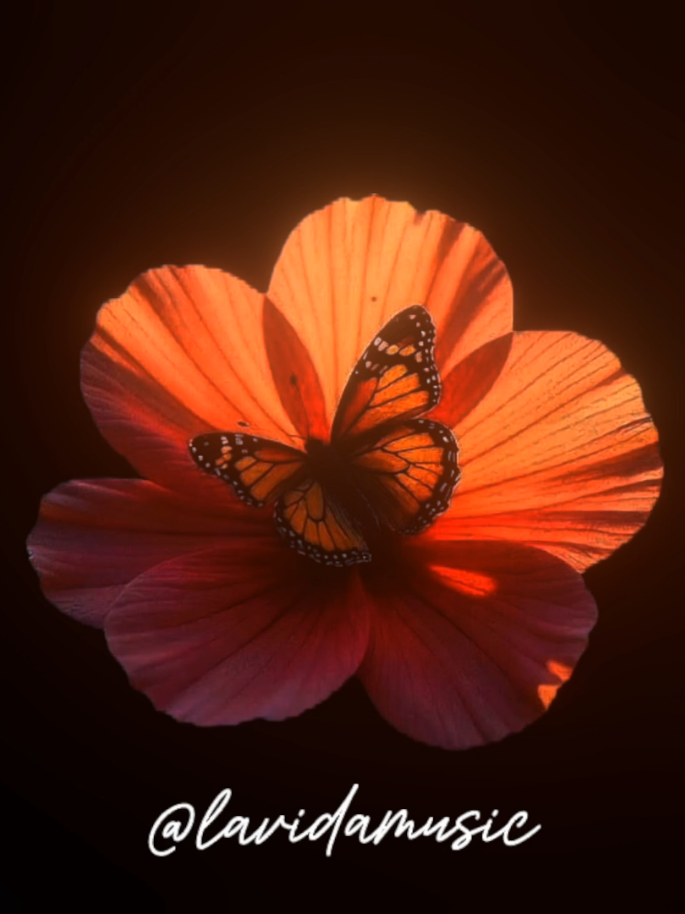 @𝐋𝐚𝐯𝐢𝐝𝐚𝐦𝐮𝐬𝐢𝐜.