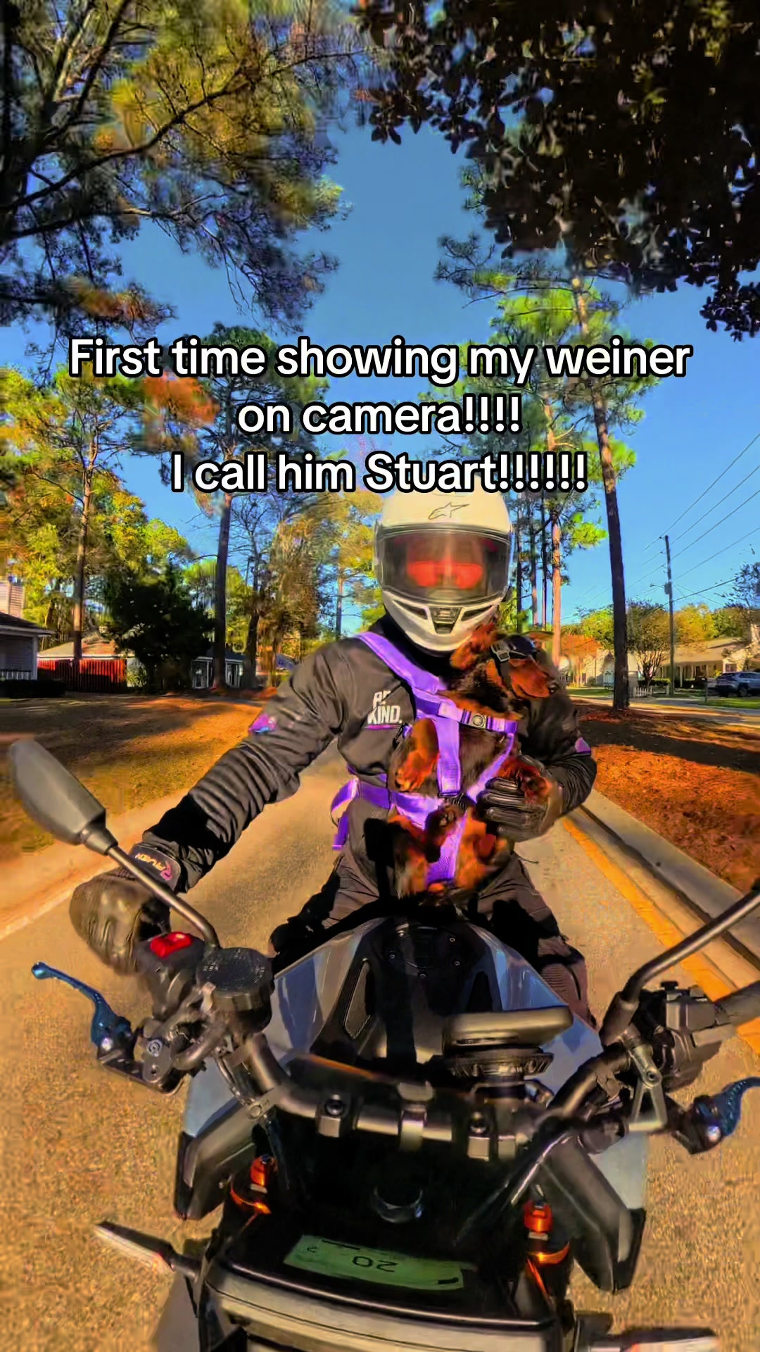 @Purple.S1K