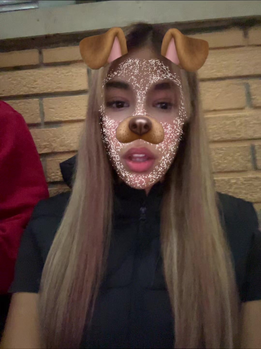@Ivonapejnovicc