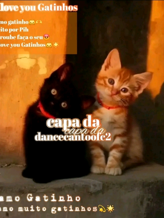 @dancaecantoofc_secund&aacute;ria