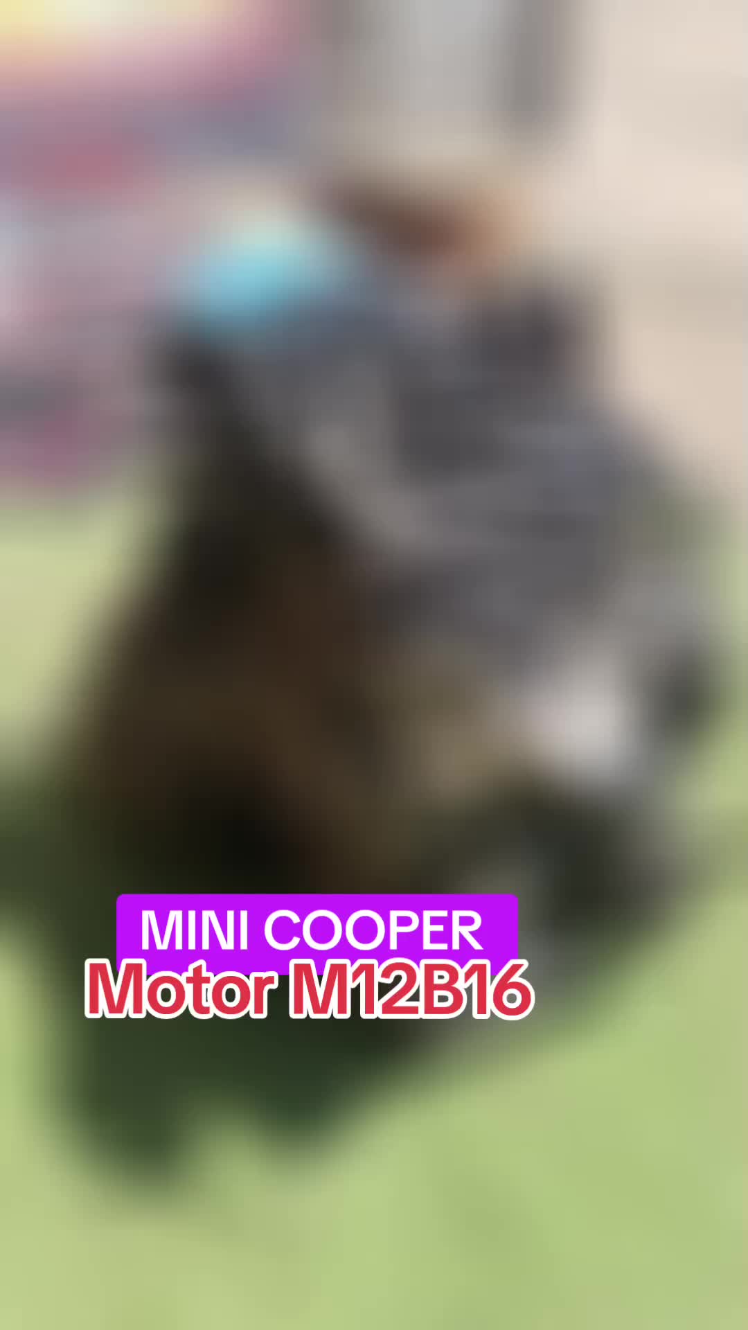 @casamatrizautomal