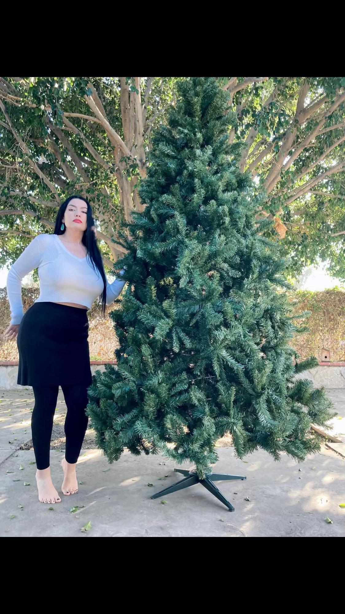 @Dahliadark