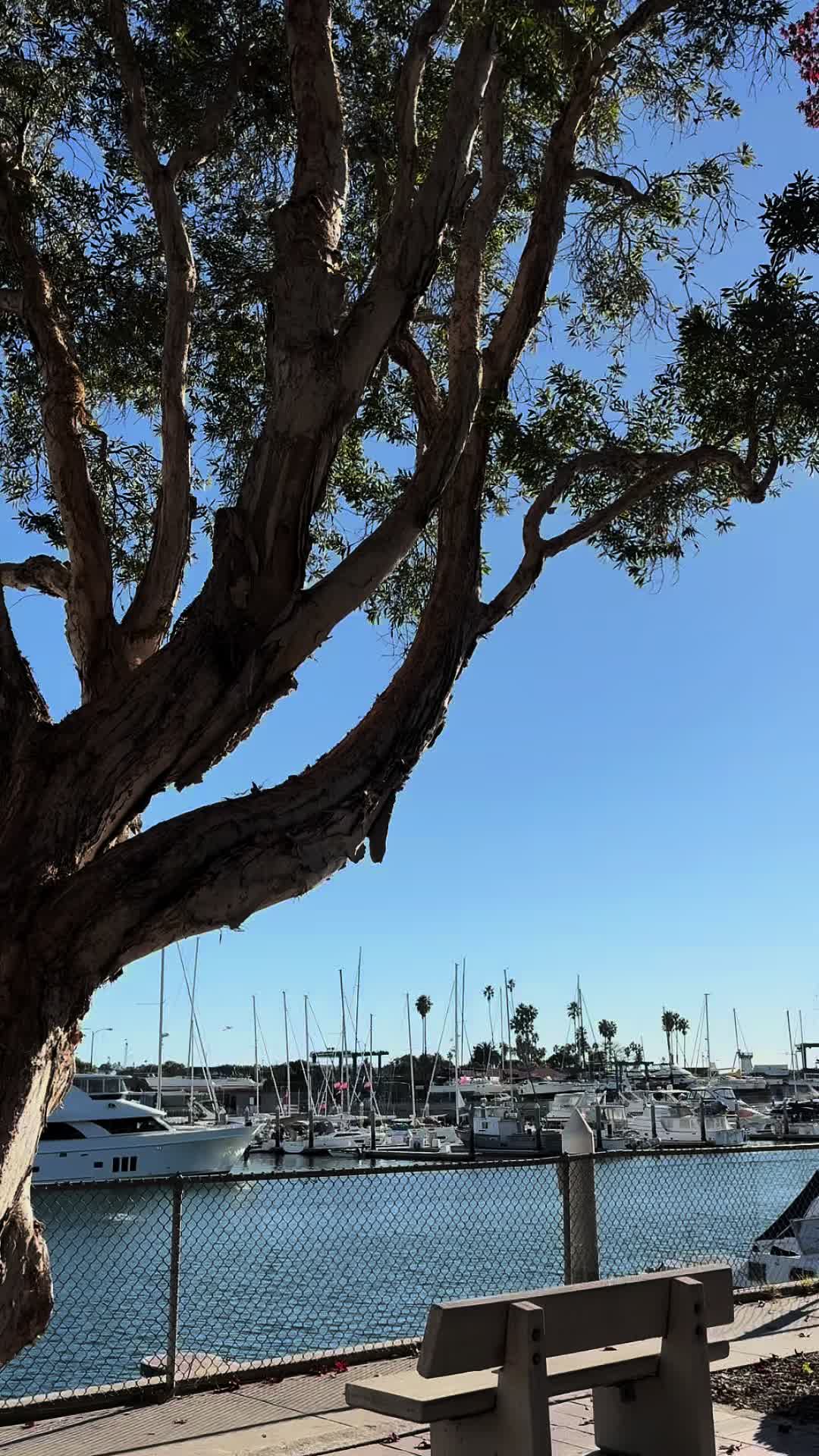 @helotraveler