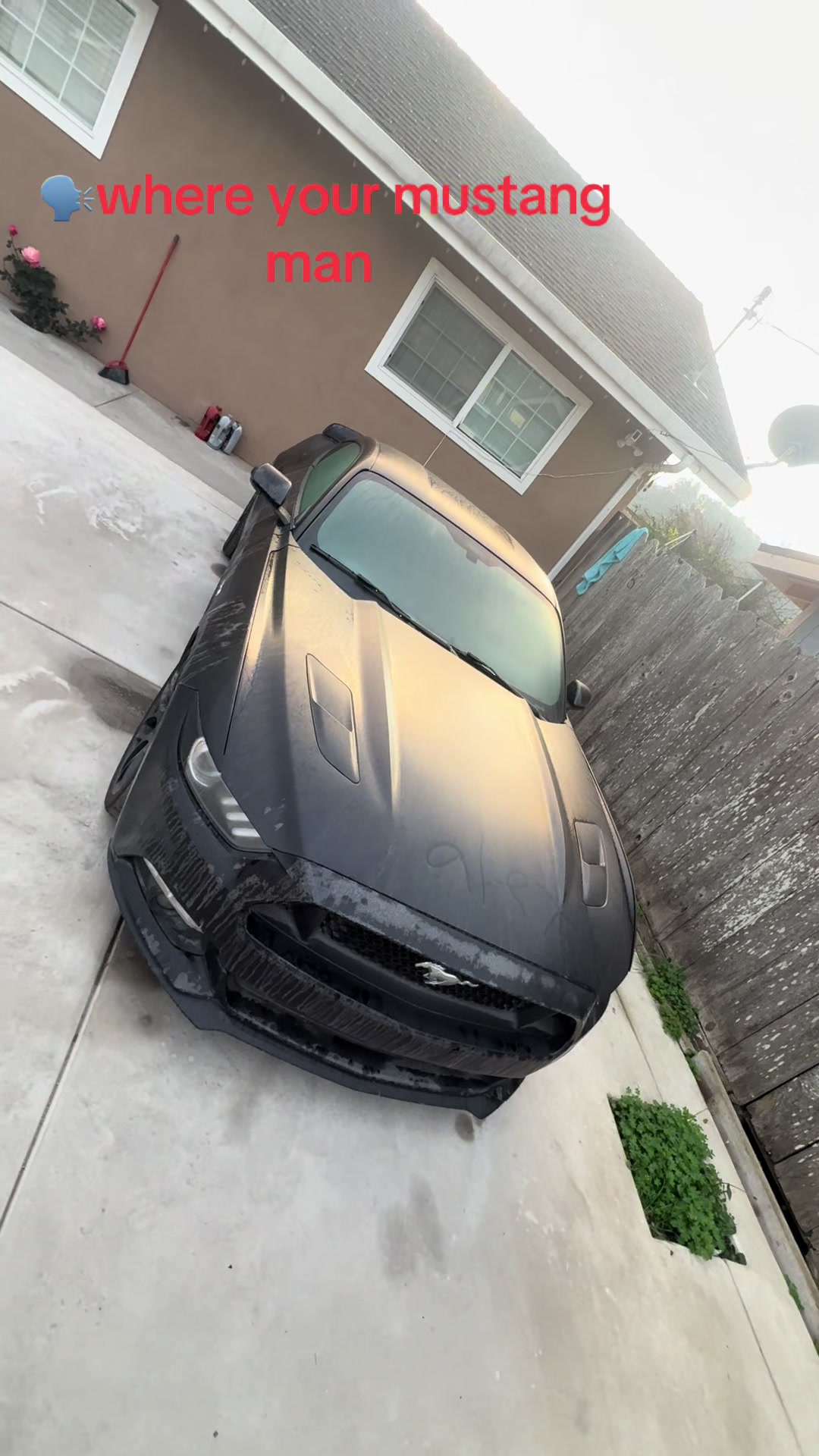 @5.0_alex_0