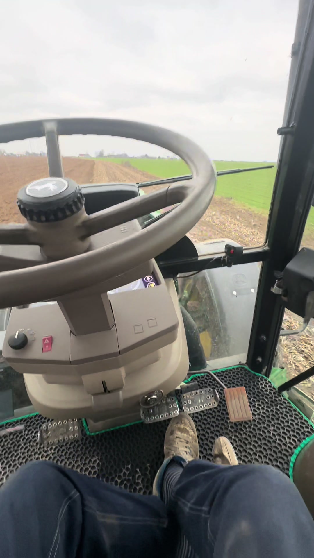 @Ćwikła agro