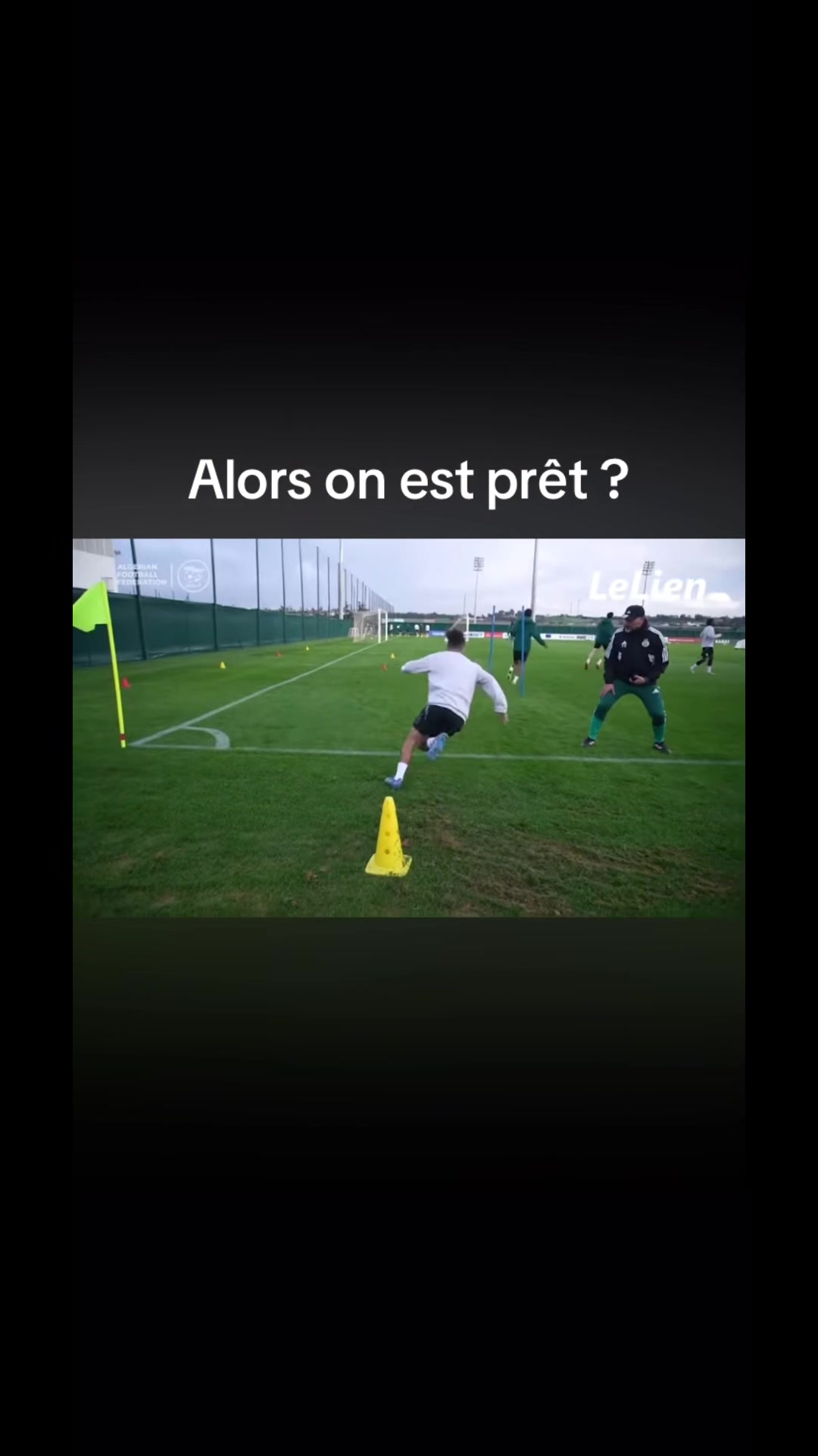 @Dz 🇩🇿
