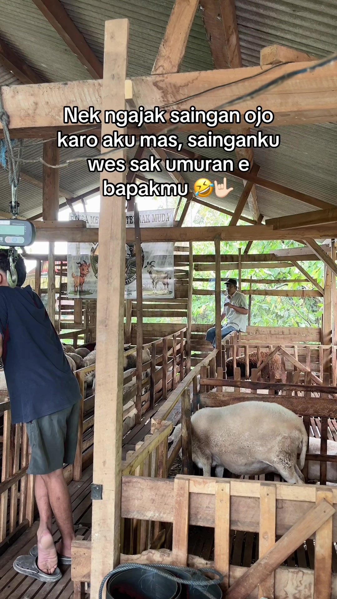 @DhanniaFarm