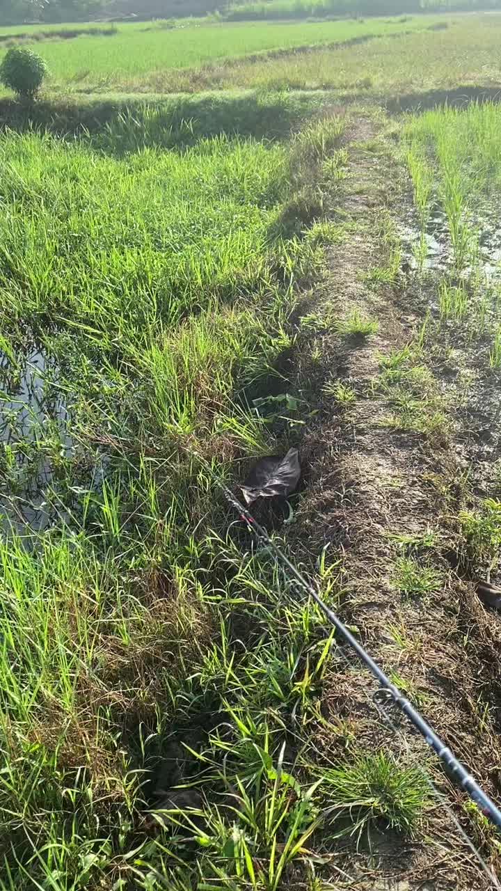 @stecu Fishing