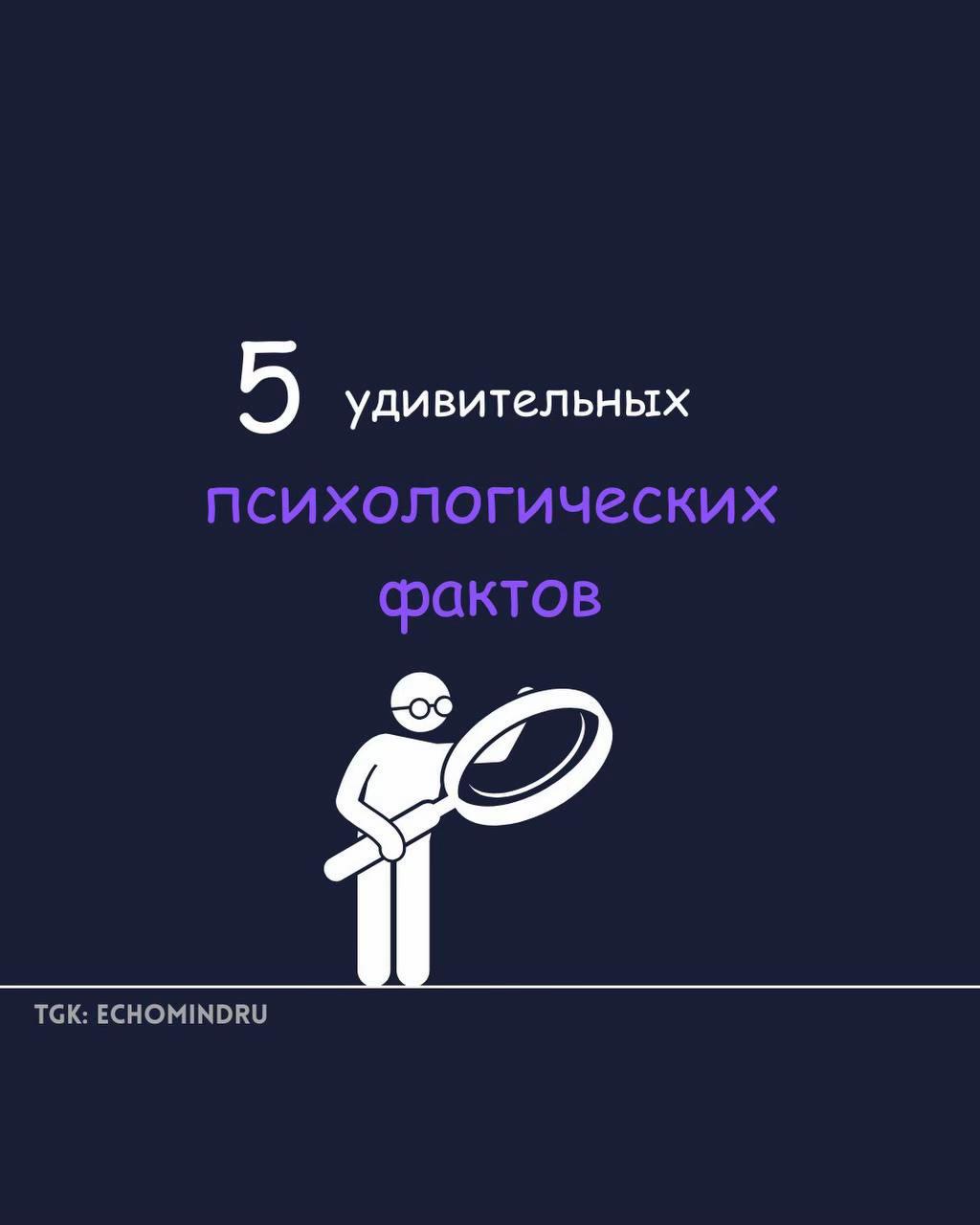 @echomind.ru